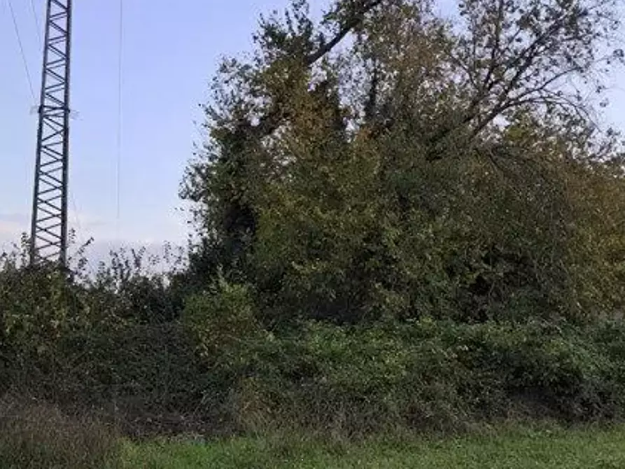 Immagine 11 di Terreno agricolo in vendita  in Via Solferino a Pesaro