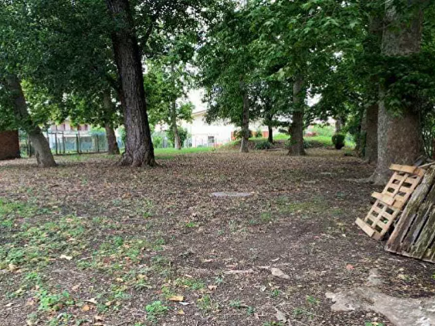 Immagine 9 di Casa indipendente in vendita  in Via Capitello a Castagnaro