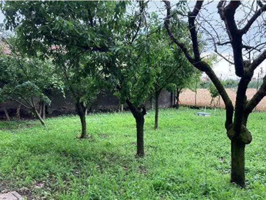 Immagine 16 di Casa indipendente in vendita  in Via Capitello a Castagnaro