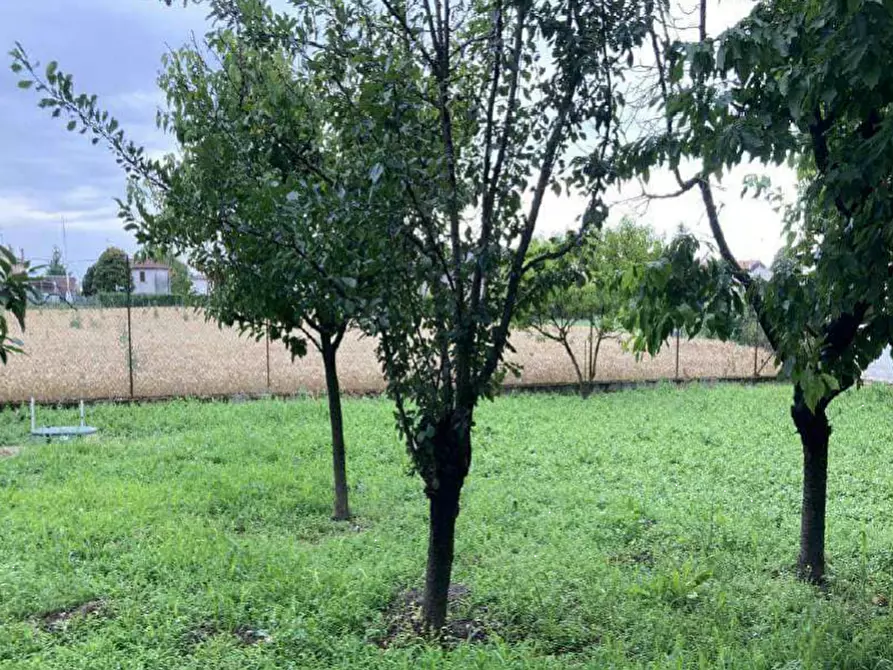 Immagine 17 di Casa indipendente in vendita  in Via Capitello a Castagnaro