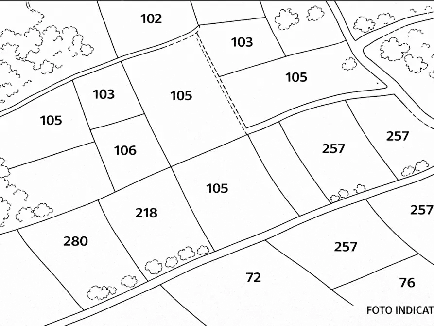 Immagine 11 di Terreno agricolo in vendita  in Piazza Cittadella a Verona