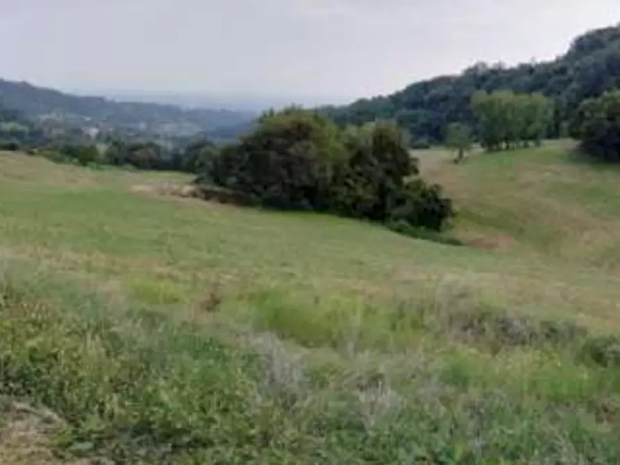 Immagine 1 di Terreno agricolo in vendita  in Via Altura a Salcedo