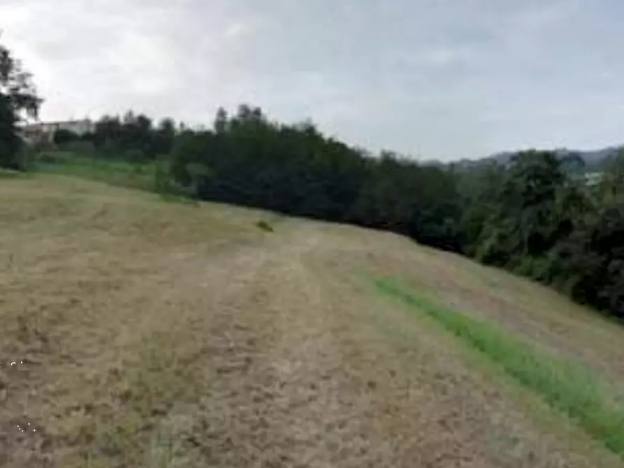 Immagine 4 di Terreno agricolo in vendita  in Via Altura a Salcedo