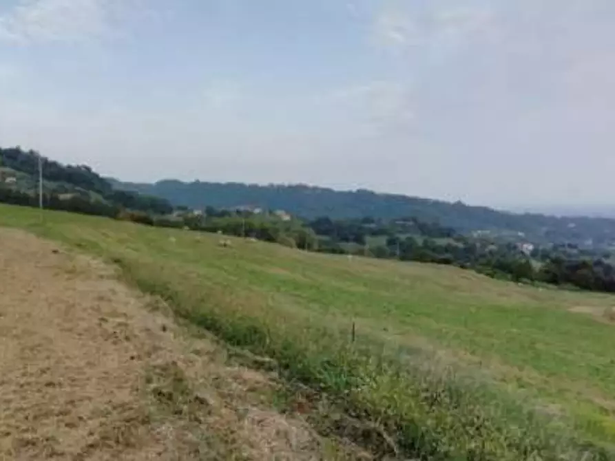 Immagine 5 di Terreno agricolo in vendita  in Via Altura a Salcedo