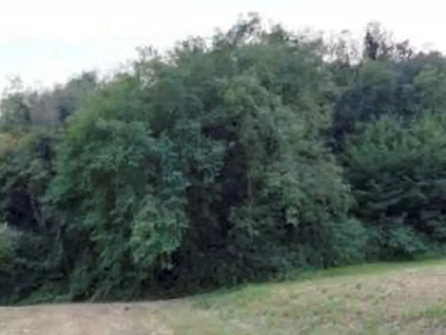 Immagine 10 di Terreno agricolo in vendita  in Via Altura a Salcedo