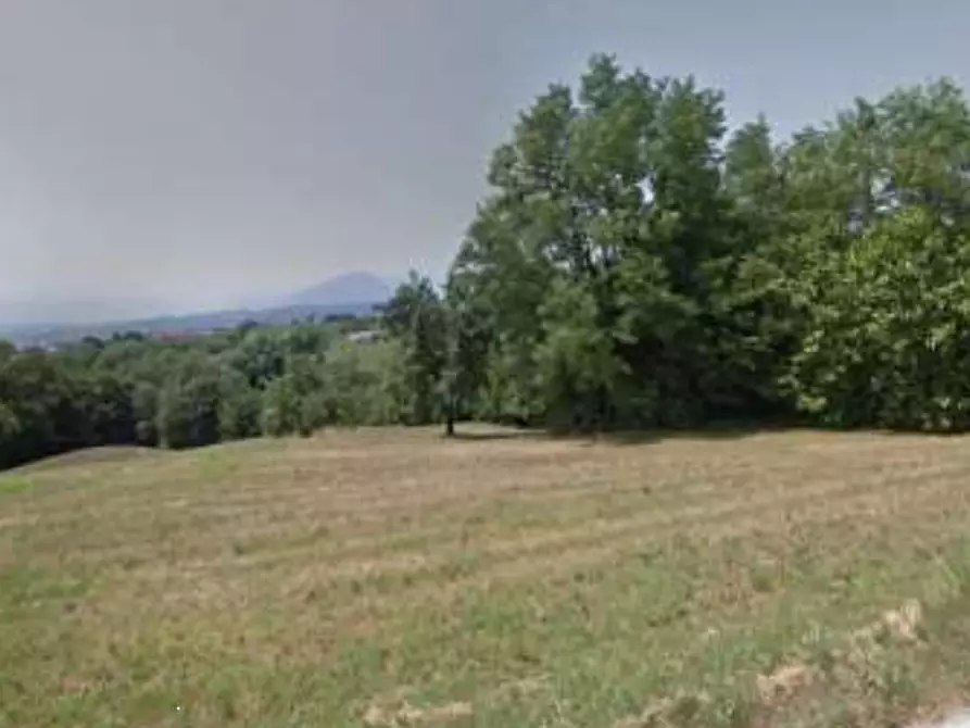 Immagine 5 di Terreno agricolo in vendita  in Via Poletti a Fara Vicentino