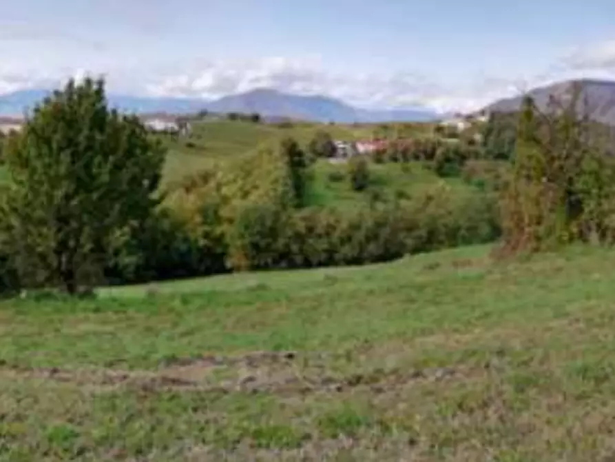 Immagine 7 di Terreno agricolo in vendita  in Via Poletti a Fara Vicentino