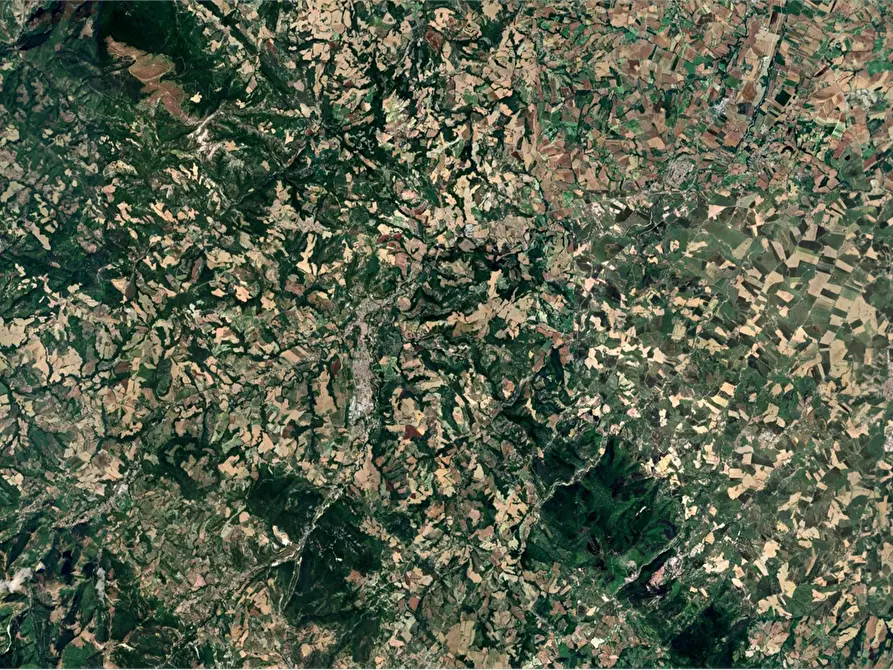 Immagine 4 di Terreno agricolo in vendita  in Strada provinciale  a Pergola