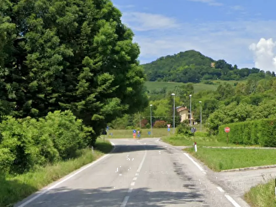 Immagine 6 di Terreno agricolo in vendita  in Strada provinciale  a Pergola