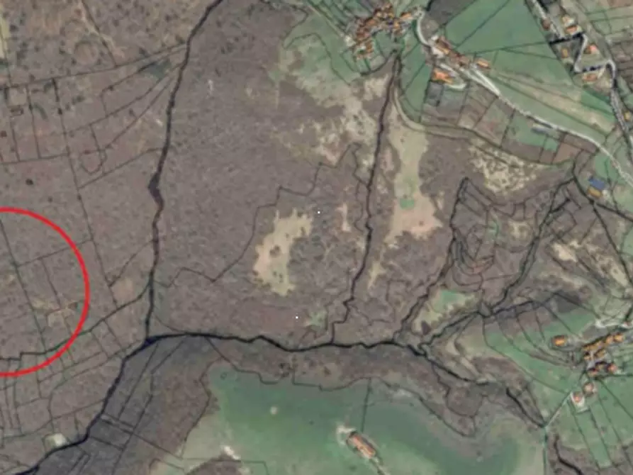 Immagine 4 di Terreno agricolo in vendita  in Piazza XXV Aprile a Lugo Di Vicenza