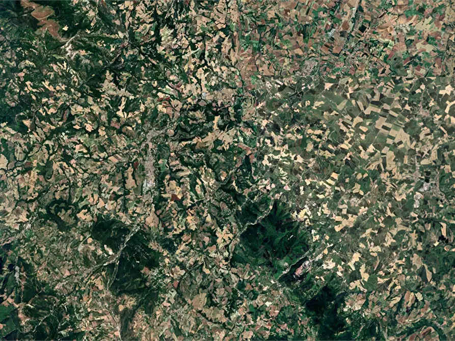 Immagine 3 di Terreno agricolo in vendita  in Quartiere Val D'Arca a Pergola