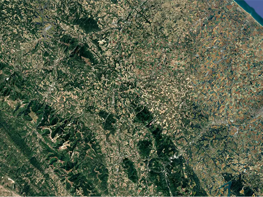 Immagine 4 di Terreno agricolo in vendita  in Quartiere Val D'Arca a Pergola