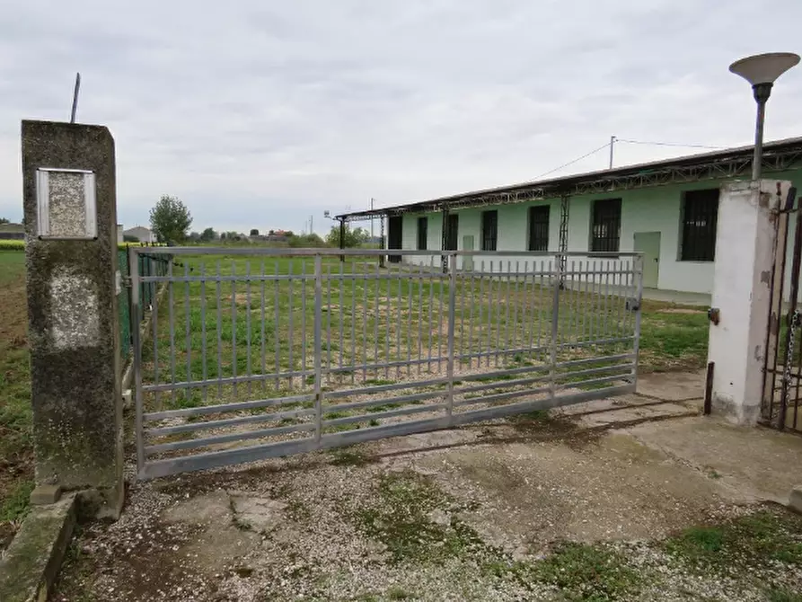 Immagine 1 di Laboratorio in vendita  in Via Oppioli a Cerea