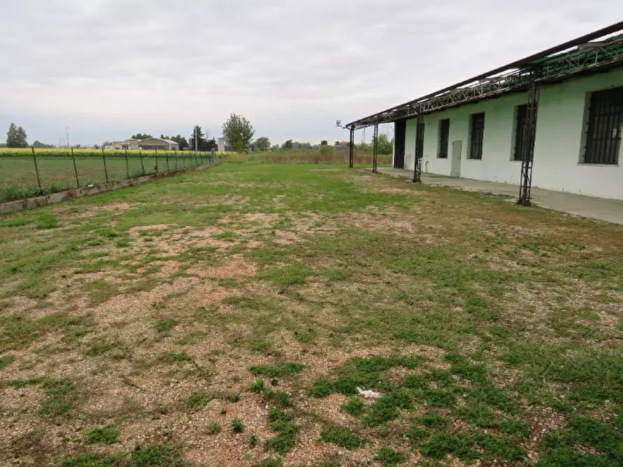 Immagine 3 di Laboratorio in vendita  in Via Oppioli a Cerea