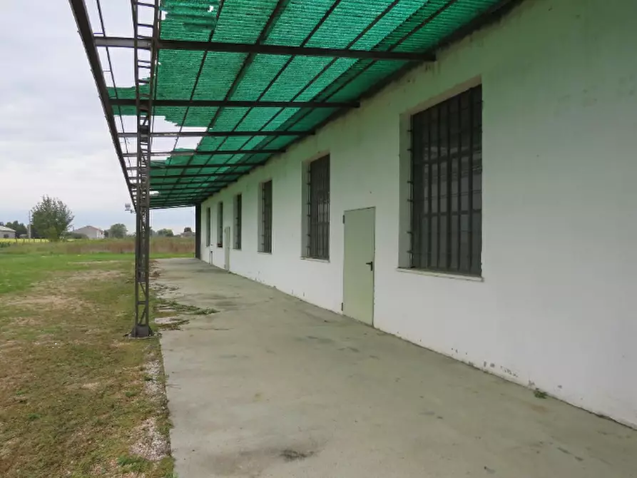 Immagine 6 di Laboratorio in vendita  in Via Oppioli a Cerea