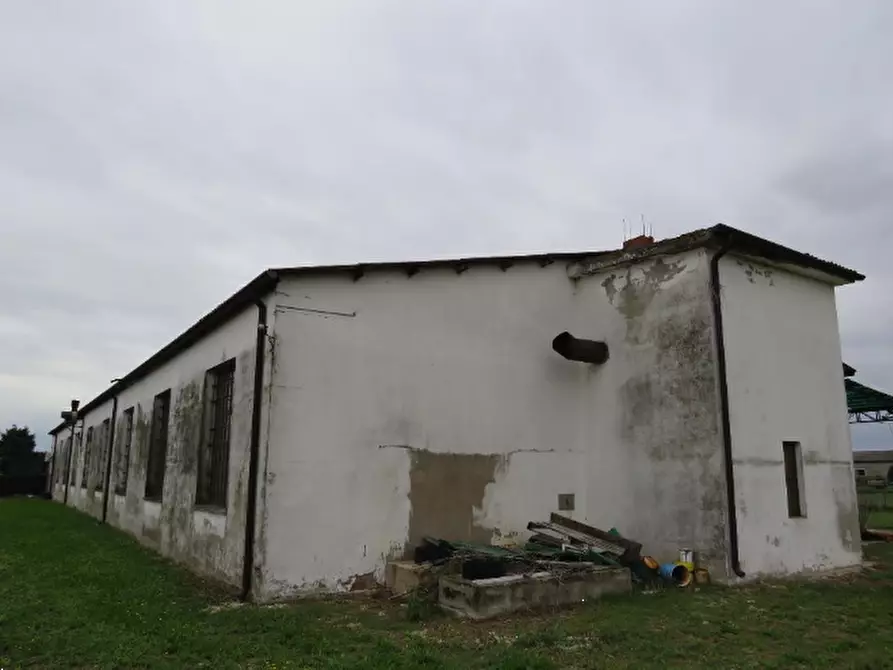 Immagine 7 di Laboratorio in vendita  in Via Oppioli a Cerea