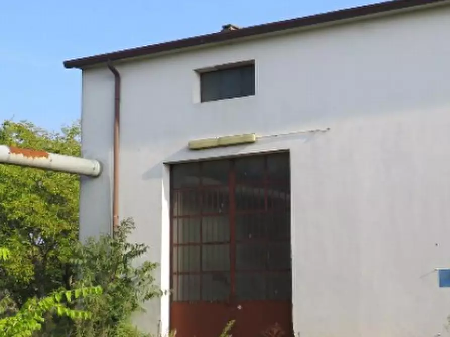 Immagine 11 di Capannone industriale in vendita  in Via Cadabese a Cerea