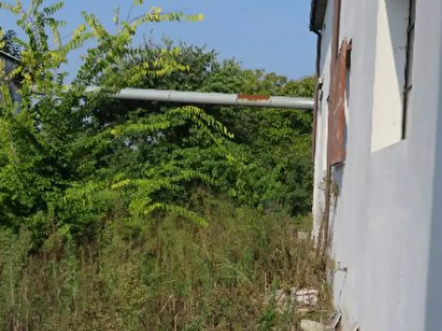 Immagine 13 di Capannone industriale in vendita  in Via Cadabese a Cerea