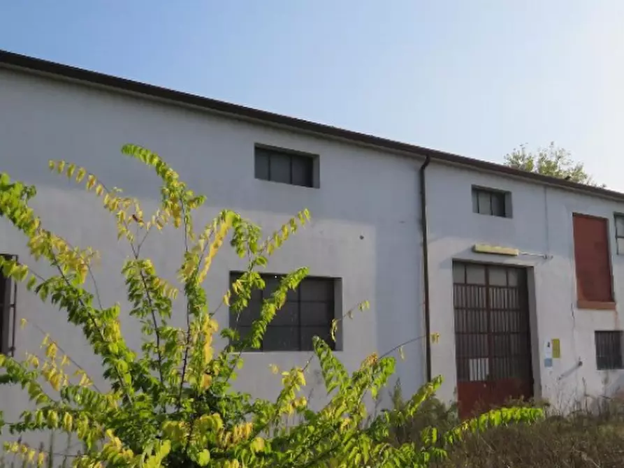 Immagine 25 di Capannone industriale in vendita  in Via Cadabese a Cerea