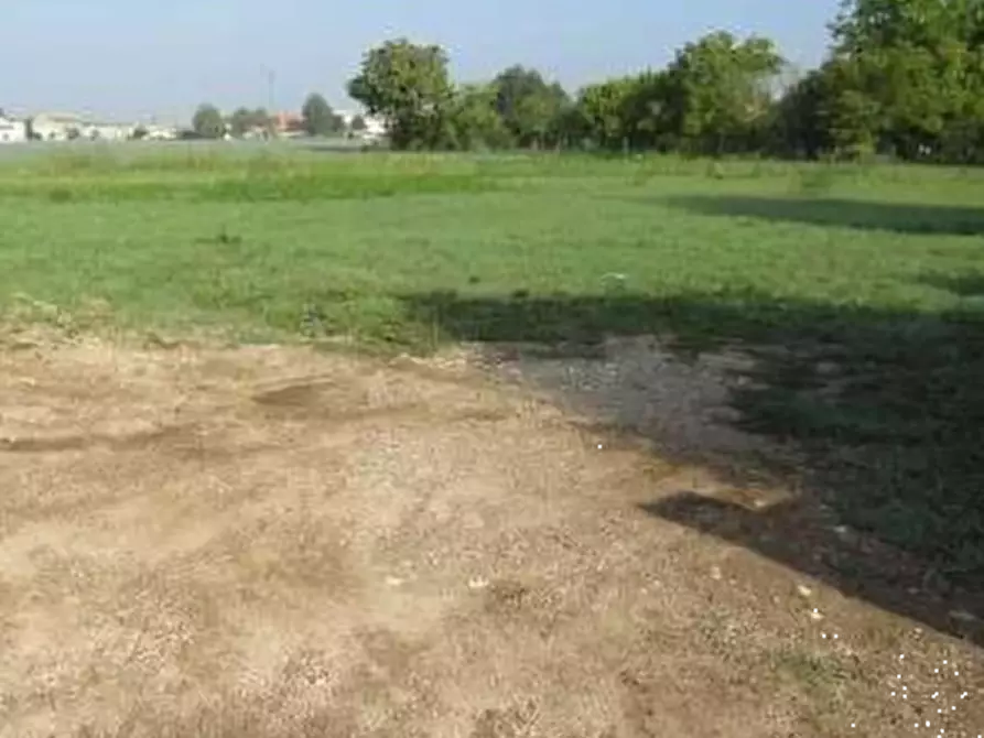 Immagine 27 di Capannone industriale in vendita  in Via Cadabese a Cerea