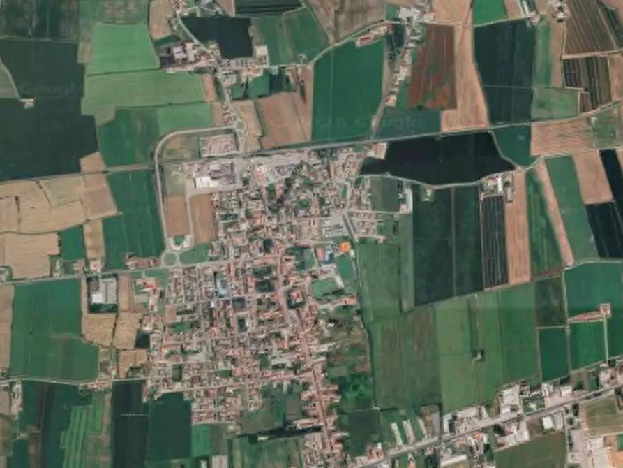 Immagine 12 di Appartamento in vendita  in Via Tregnon  a Nogara