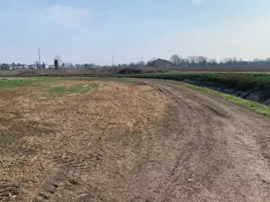Immagine 3 di Terreno agricolo in vendita  in Via della Giara a Sorgà