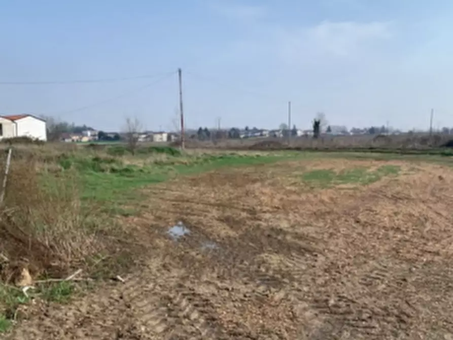 Immagine 4 di Terreno agricolo in vendita  in Via della Giara a Sorgà