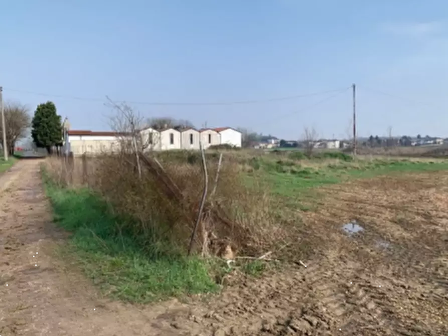 Immagine 5 di Terreno agricolo in vendita  in Via della Giara a Sorgà
