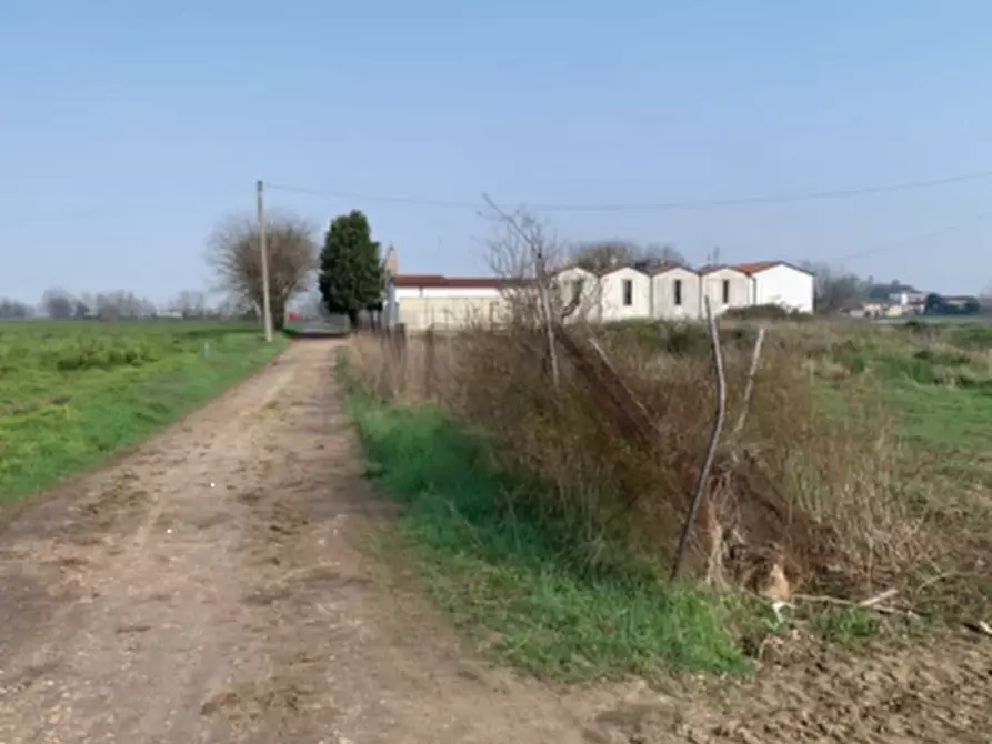 Immagine 6 di Terreno agricolo in vendita  in Via della Giara a Sorgà