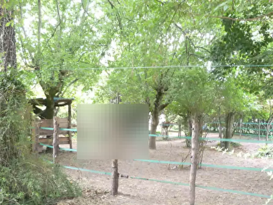 Immagine 3 di Porzione di casa in vendita  in Via Traversa Capitelllo a Concamarise