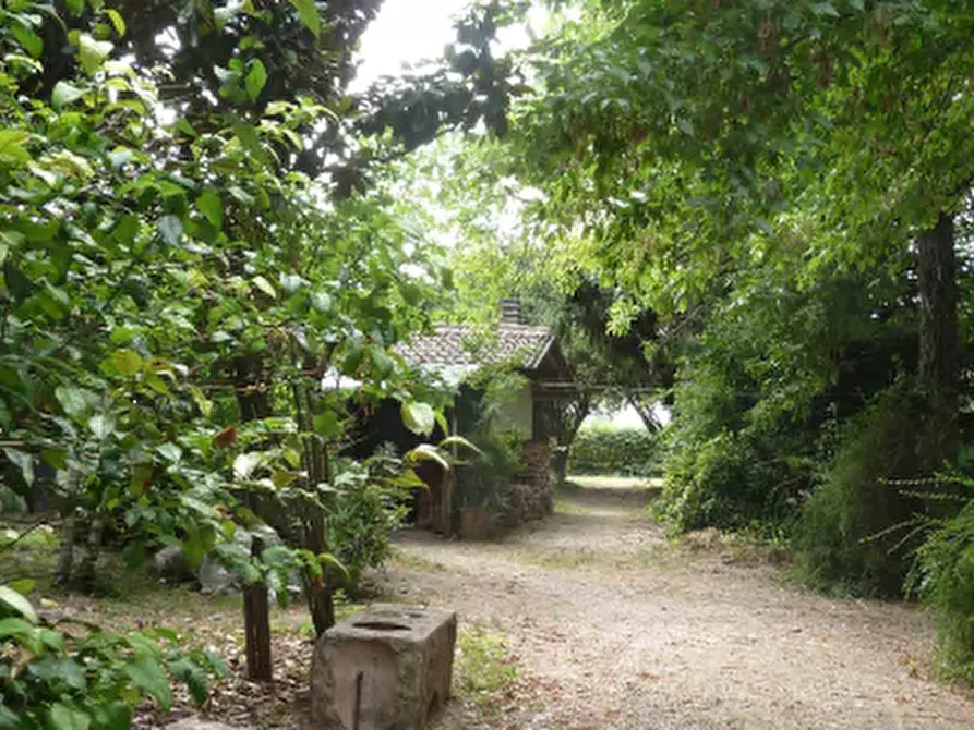 Immagine 4 di Porzione di casa in vendita  in Via Traversa Capitelllo a Concamarise