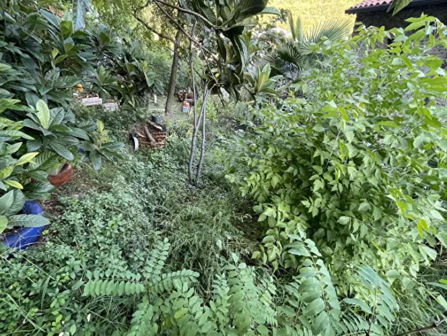 Immagine 5 di Porzione di casa in vendita  in Via Fermo Sisto Zerbato a Tregnago