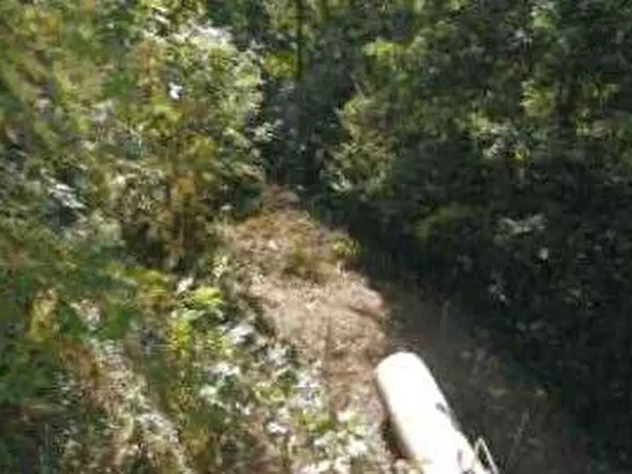 Immagine 7 di Porzione di casa in vendita  in Via Roma a Bosco Chiesanuova