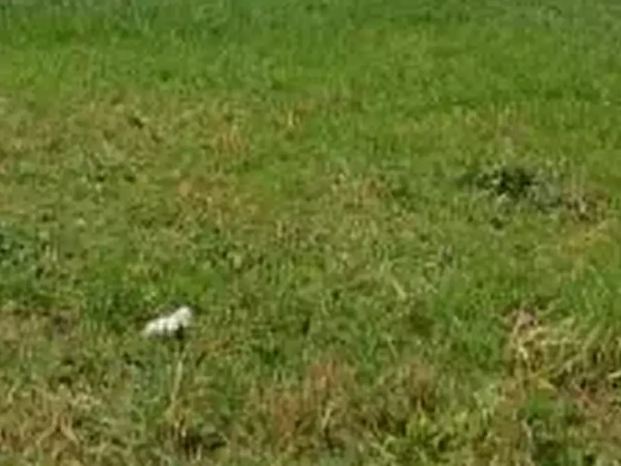 Immagine 11 di Terreno edificabile in vendita  in Piedimonte del Calvario a Gorizia