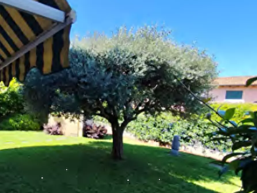 Immagine 6 di Appartamento in vendita  in Via IV Novembre a Roncade