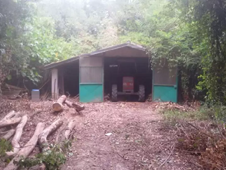 Immagine 7 di Rustico / casale in vendita  in via di vallebuia a Fucecchio