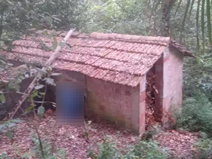 Immagine 10 di Rustico / casale in vendita  in via di vallebuia a Fucecchio