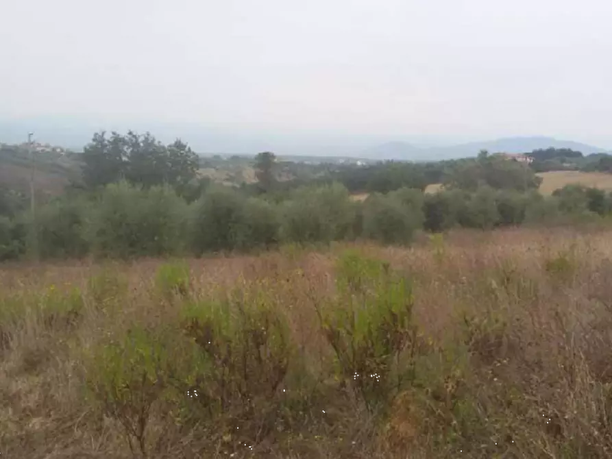 Immagine 11 di Rustico / casale in vendita  in via di vallebuia a Fucecchio