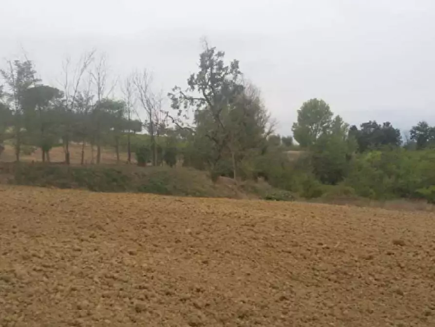 Immagine 12 di Rustico / casale in vendita  in via di vallebuia a Fucecchio