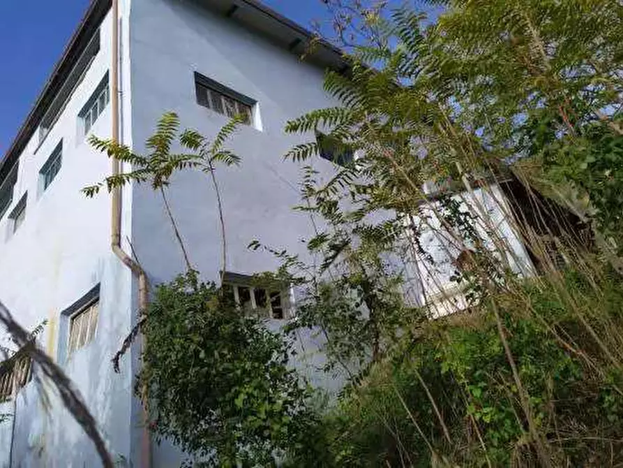 Immagine 4 di Capannone industriale in vendita  in Contrada San Girolamo a Fermo