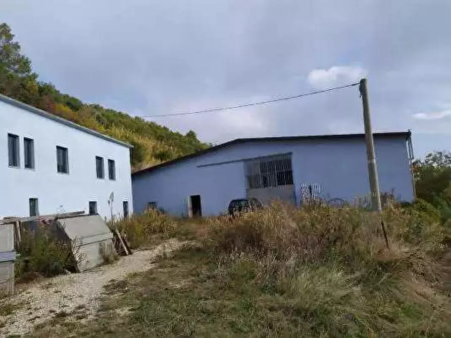 Immagine 8 di Capannone industriale in vendita  in Contrada San Girolamo a Fermo