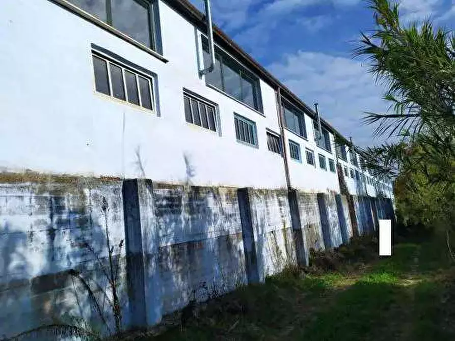 Immagine 9 di Capannone industriale in vendita  in Contrada San Girolamo a Fermo