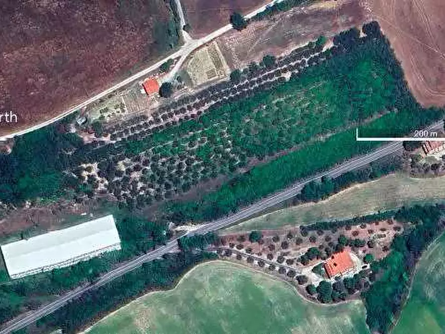 Immagine 9 di Terreno agricolo in vendita  in Contrada San Girolamo a Fermo