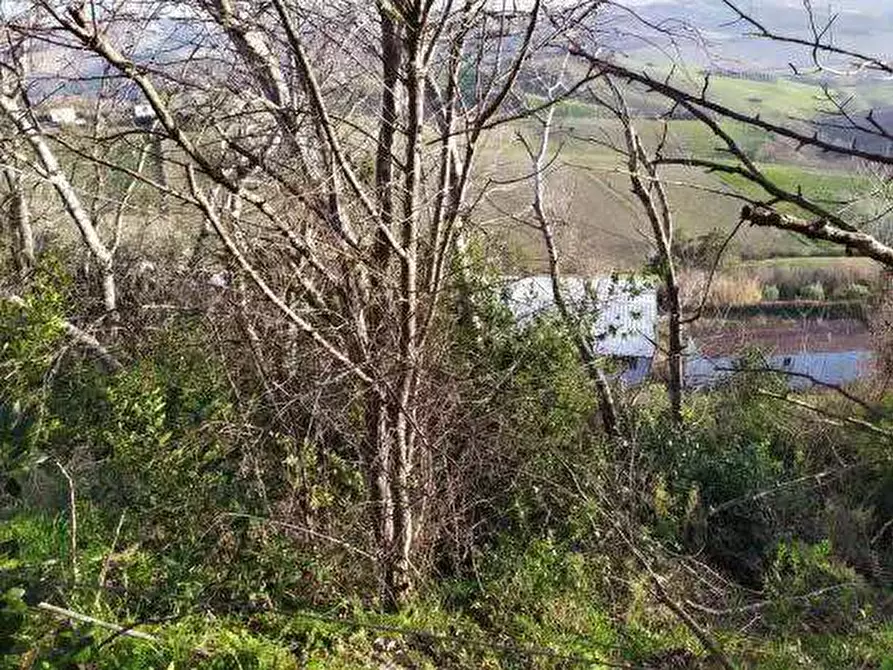 Immagine 4 di Terreno agricolo in vendita  in Contrada San Girolamo a Fermo
