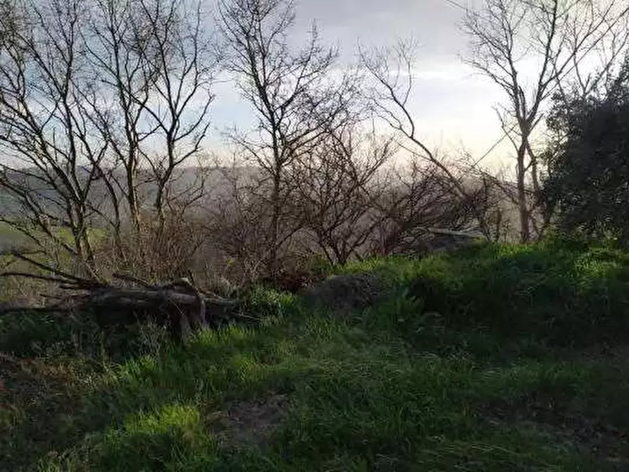 Immagine 3 di Terreno agricolo in vendita  in Contrada San Girolamo a Fermo