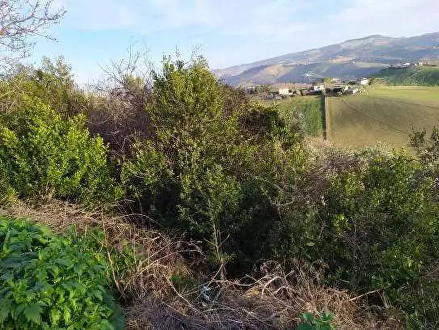 Immagine 1 di Terreno agricolo in vendita  in Contrada San Girolamo a Fermo
