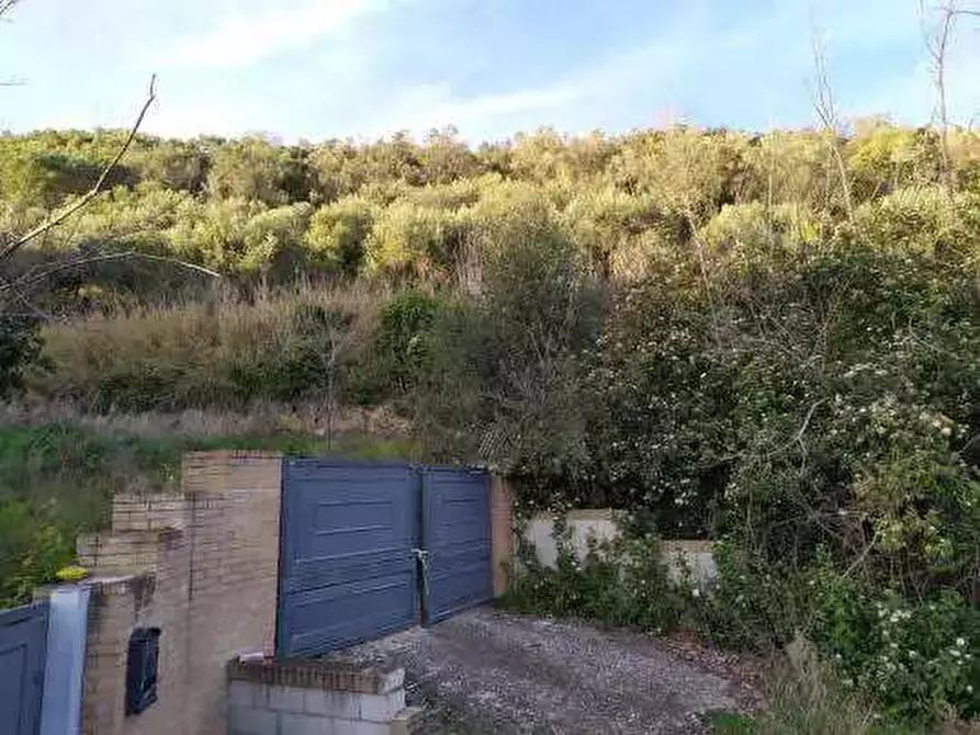 Immagine 5 di Terreno agricolo in vendita  in Contrada San Girolamo a Fermo