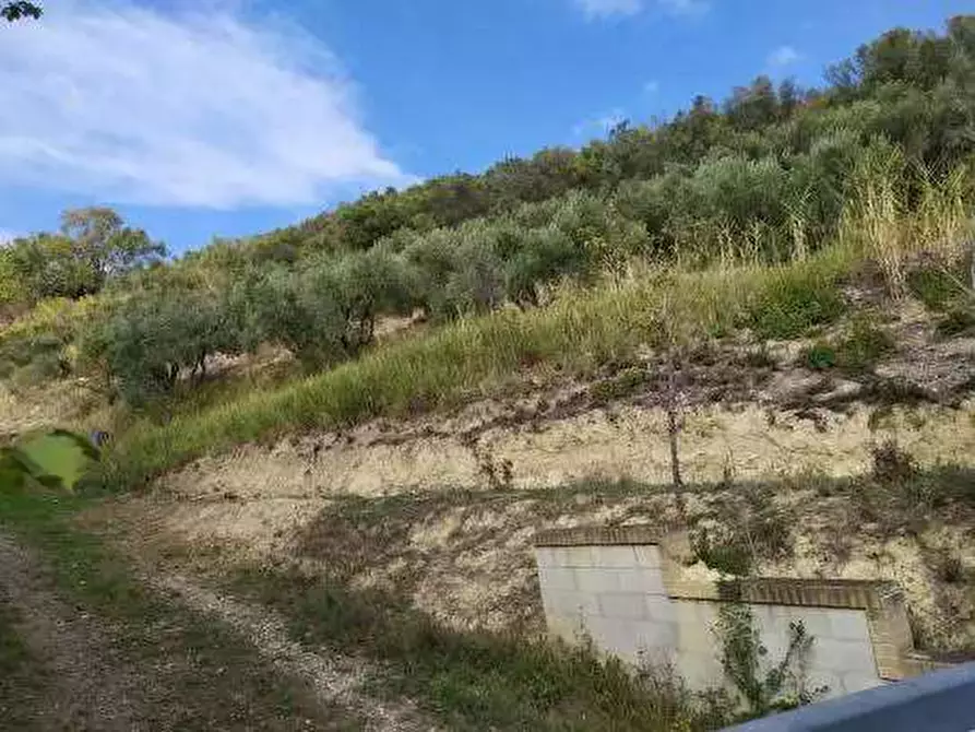 Immagine 2 di Terreno agricolo in vendita  in Contrada San Girolamo a Fermo
