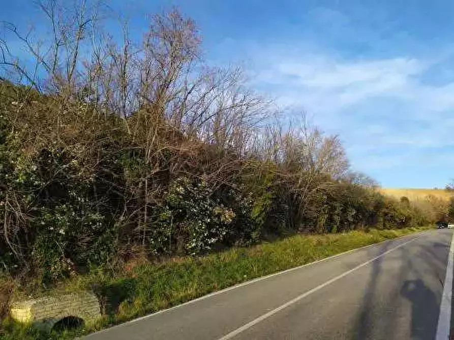 Immagine 6 di Terreno agricolo in vendita  in Contrada San Girolamo a Fermo