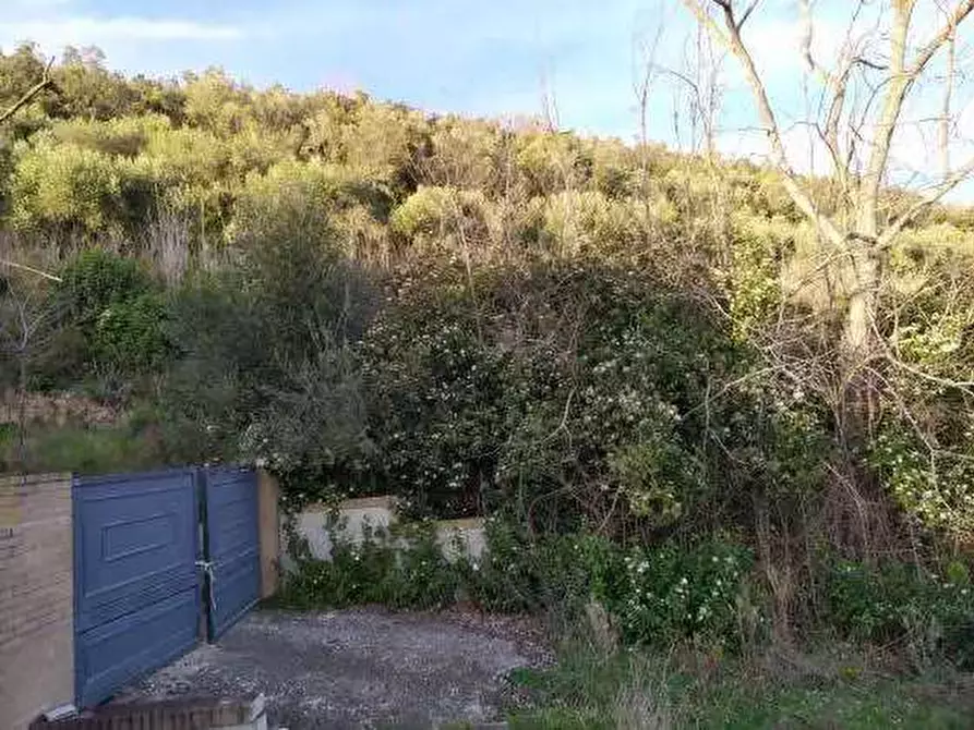 Immagine 8 di Terreno agricolo in vendita  in Contrada San Girolamo a Fermo
